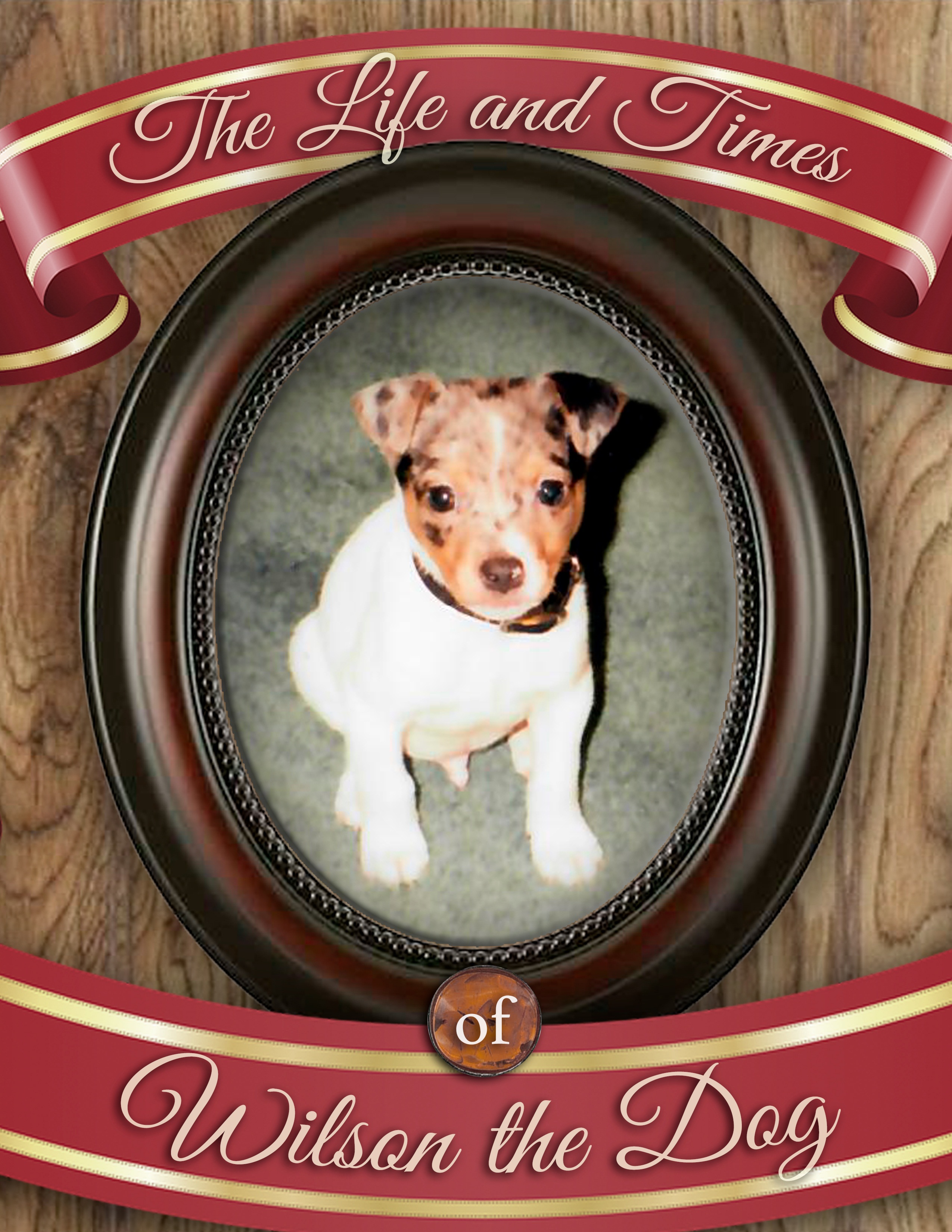 The Days and Life of Wilson the Dog by Joel Snell